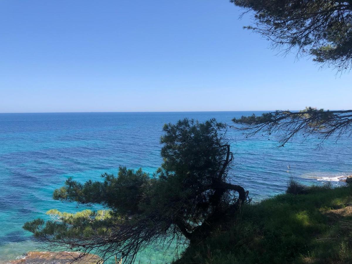 Apartmán Fabiola 1 Calpe Exteriér fotografie